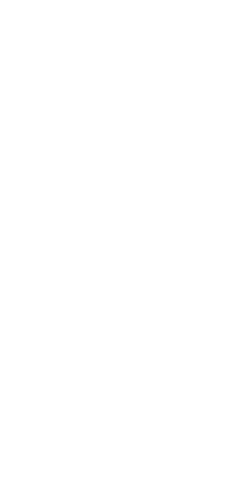blason décoratif
