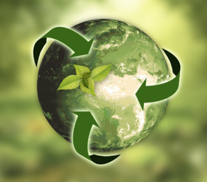 Lancement offre Sustainability Ecole Polytechnique Executive Education